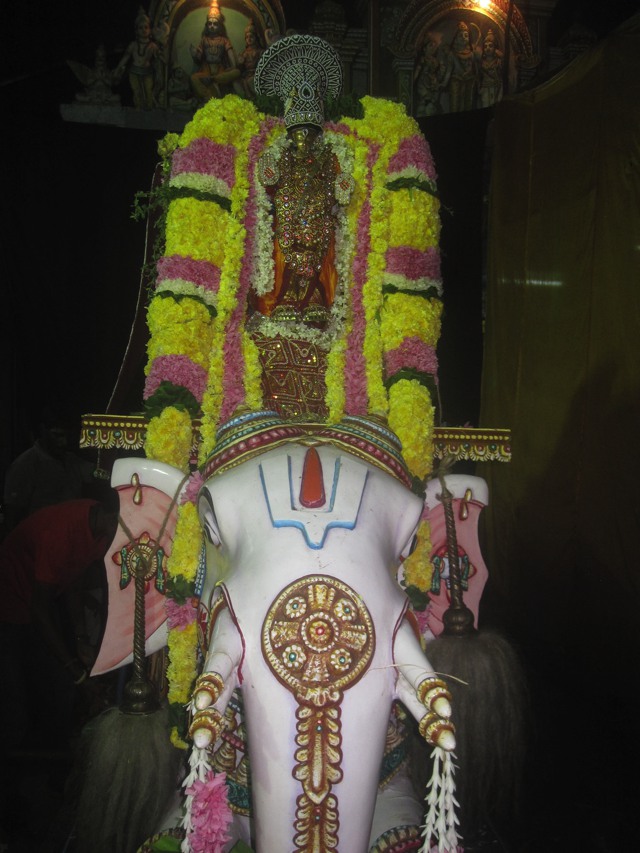 Nungambakkam Venkatesa Perumal Brahmotsavam day 5 2013 -12