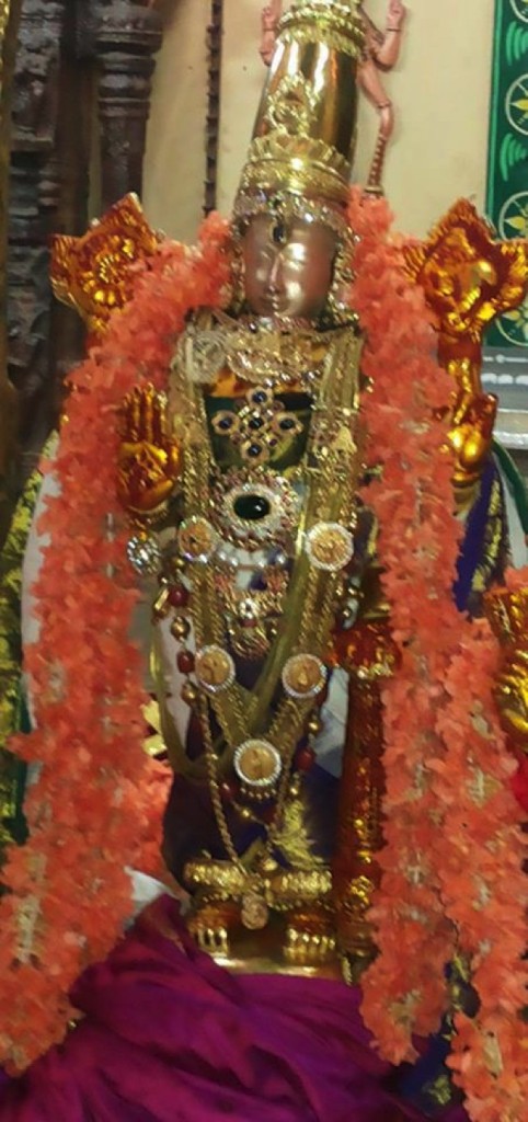 Pavitrotsavam_Thiruvallur_06