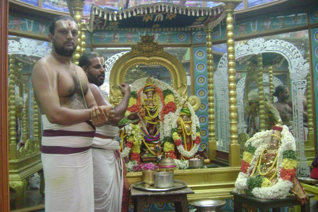 SVDD Mylapore Srinivasa Perumal Pavithrotsavam day 2 2013-00