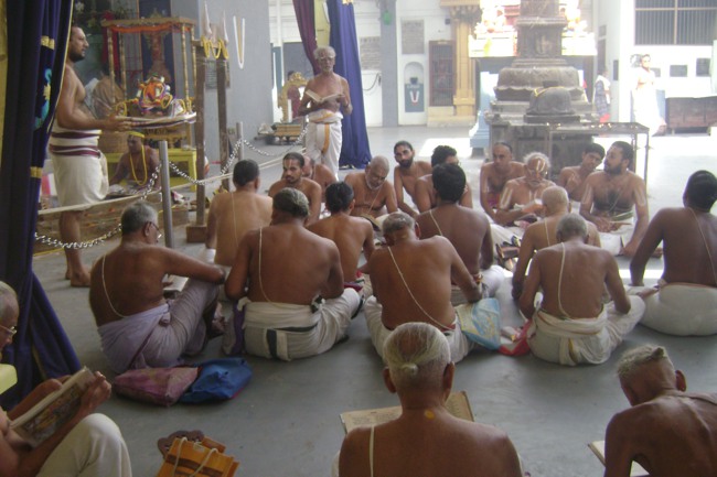 SVDD Mylapore Srinivasa Perumal Pavithrotsavam day 2 2013-07