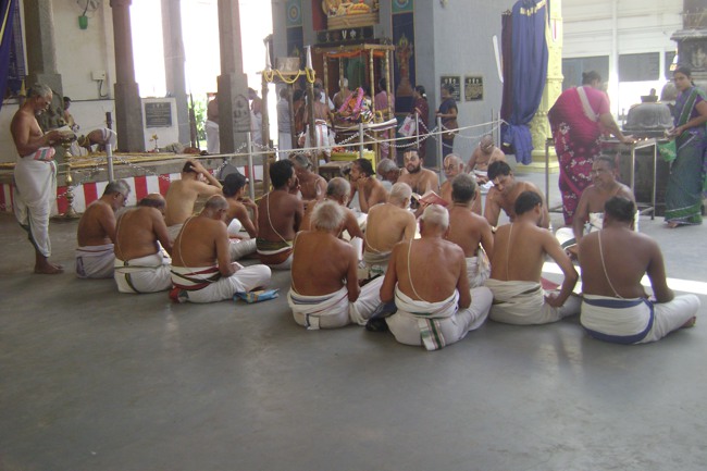 SVDD Mylapore Srinivasar Pavithrotsavam day 6 2013-03