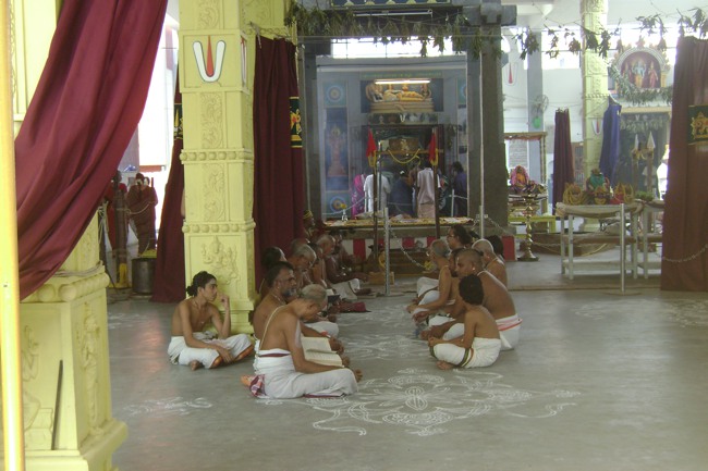 SVDD Mylapore Srinivasar Pavithrotsavam day 6 2013-06
