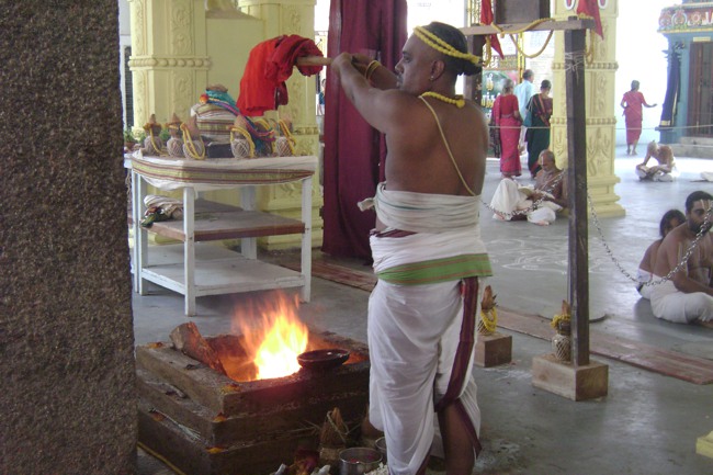 SVDD Mylapore Srinivasar Pavithrotsavam day 6 2013-11