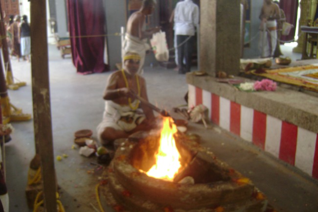 SVDD Srinivasa Perumal Pavithrotsavam day 5 2013-04