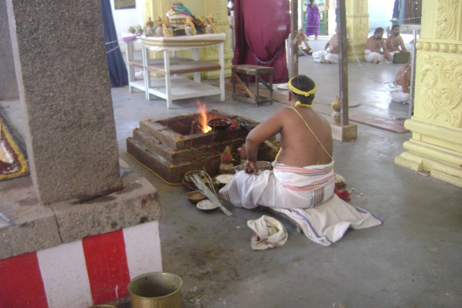 SVDD Srinivasa Perumal Pavithrotsavam day 5 2013-05