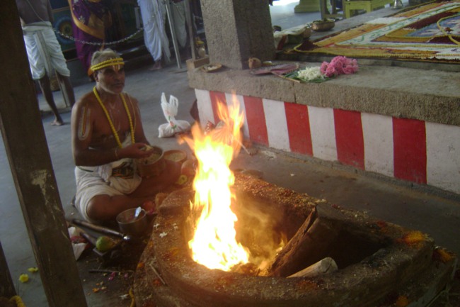 SVDD Srinivasa Perumal Pavithrotsavam day 5 2013-06