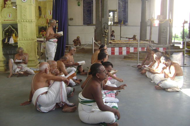 SVDD Srinivasa Perumal Pavithrotsavam day 5 2013-07