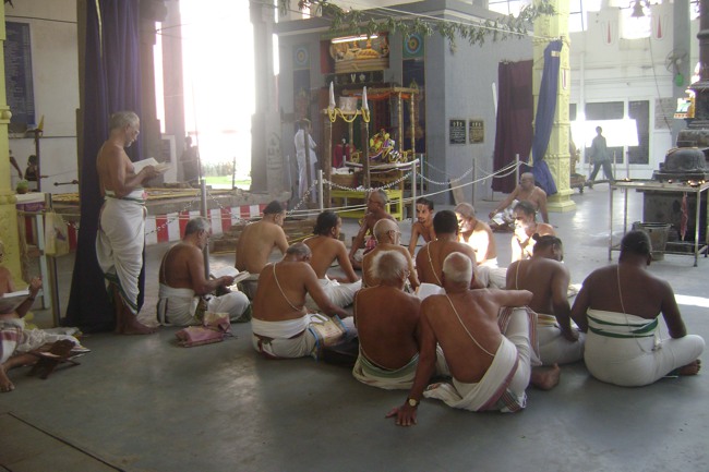 SVDD Srinivasa Perumal Pavithrotsavam day 5 2013-09