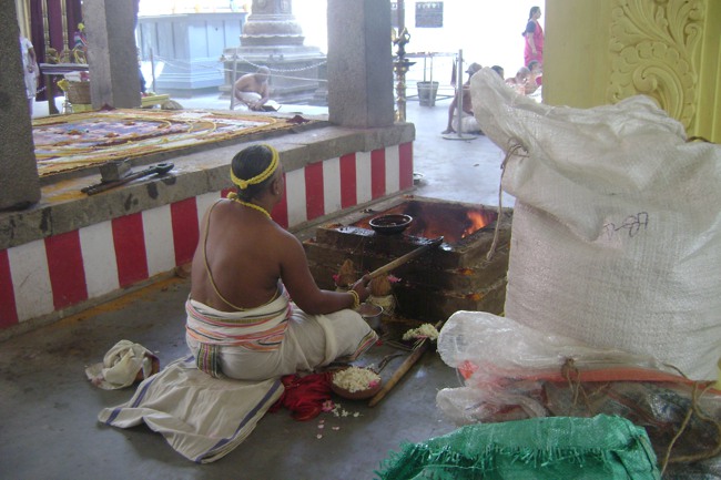 SVDD Srinivasa Perumal Pavithrotsavam day 5 2013-15