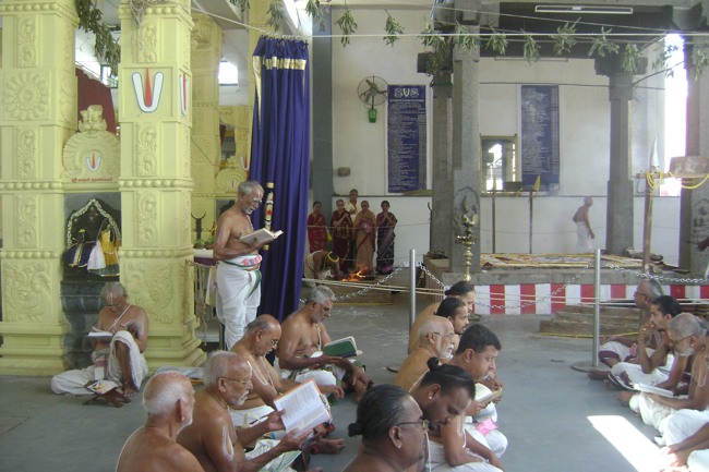 SVDD Srinivasa Perumal Pavithrotsavam day 5 2013-17