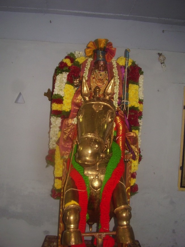 Singanallur Ulagalanda Perumal Temple Brahmotsavam_2013_17