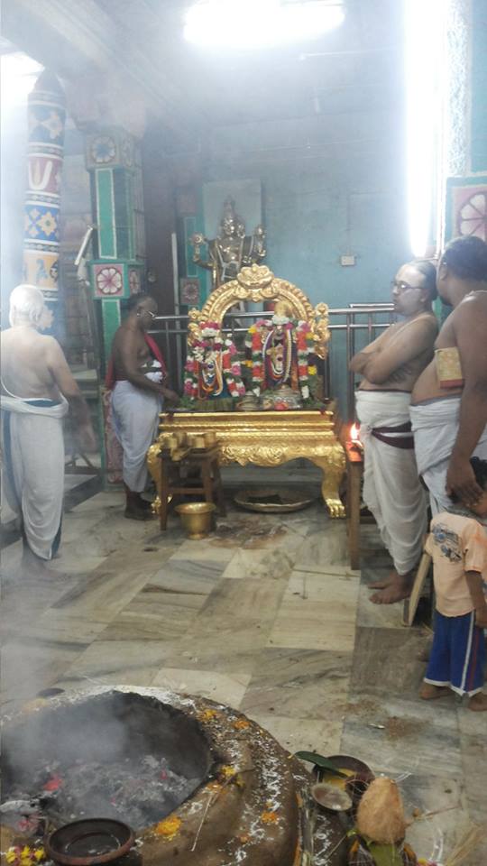 Sri Oppiliappan Temple Pavithrotsavam6