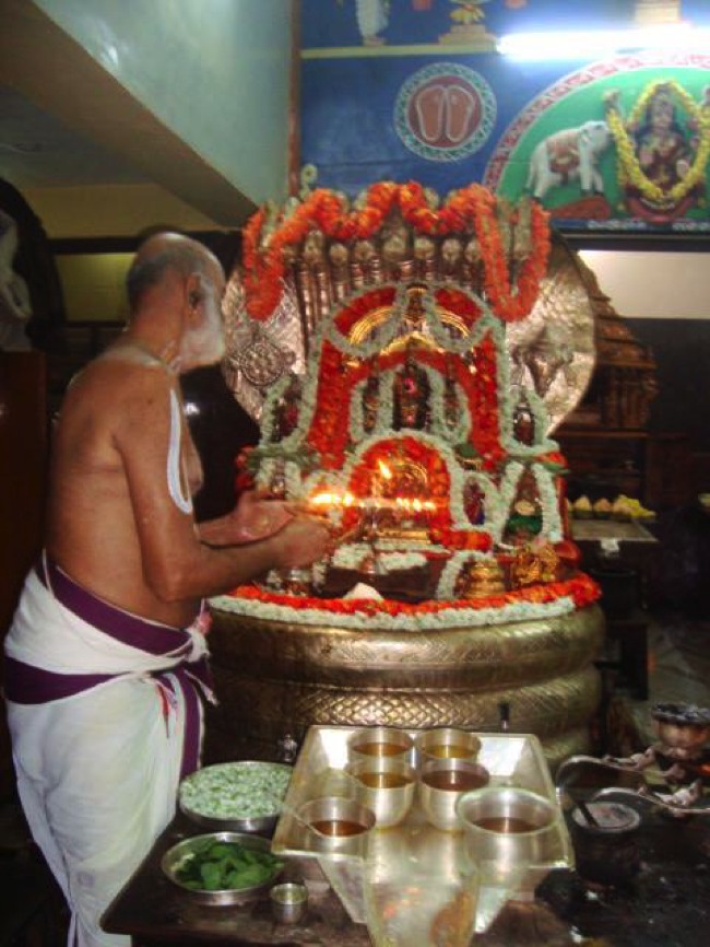 Srimushnam Andavan Mangalasasanam -Yoga Narasimhar Tirumala 2013-02