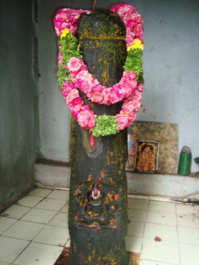 Srimushnam Andavan Mangalasasanam -Yoga Narasimhar Tirumala 2013-26