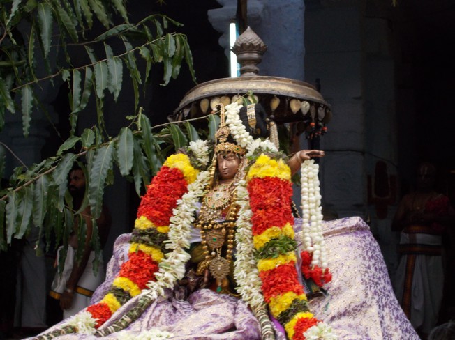 Srirangam Namperumal Sri Jayanthi 2013_37