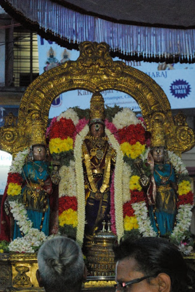 Thelliyasingar Purattasi Sanikezhamai Purappadu 2013-15