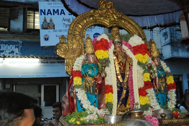 Thelliyasingar Purattasi Sanikezhamai Purappadu 2013-16