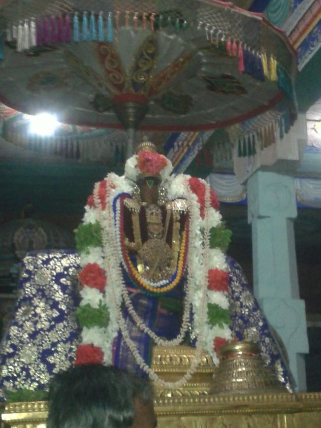 Thirukannapuram Pavithrotsavam