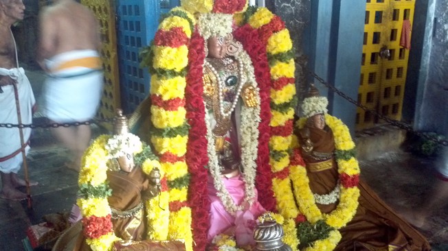  - Thirupavadai-utsavam-Villivakkam-Sowmya-Damodara-Temple_01