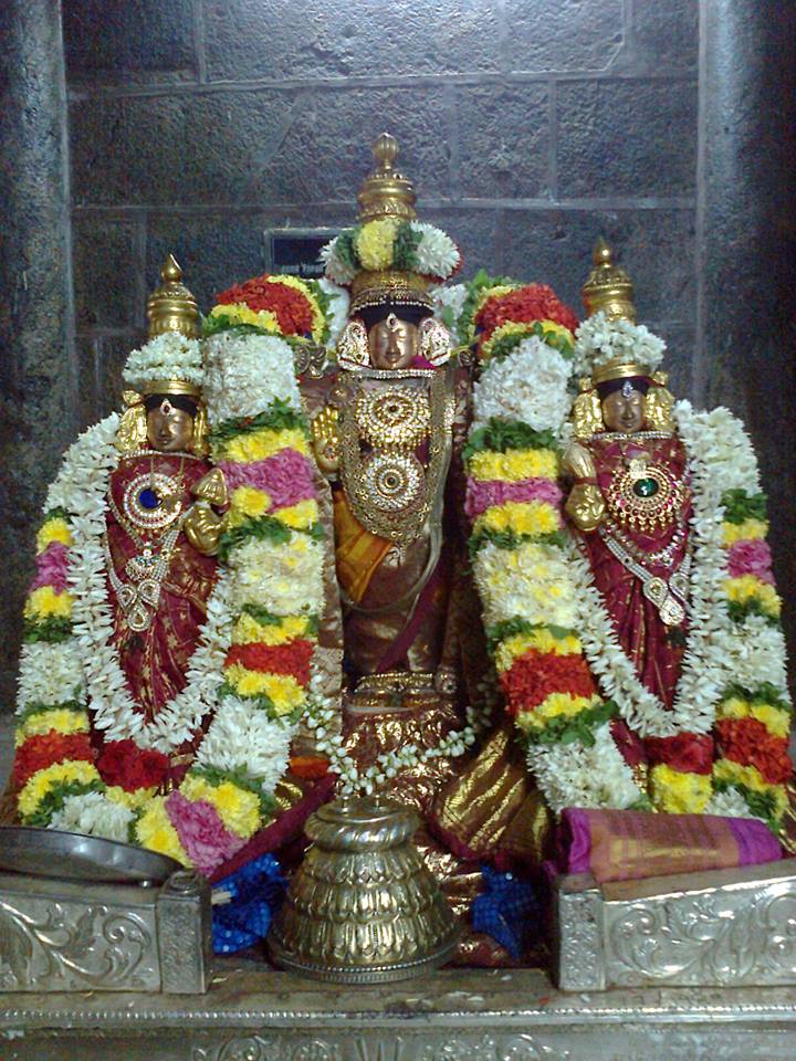 Thiruvahindrapuram_Purattasi Purappadu_1