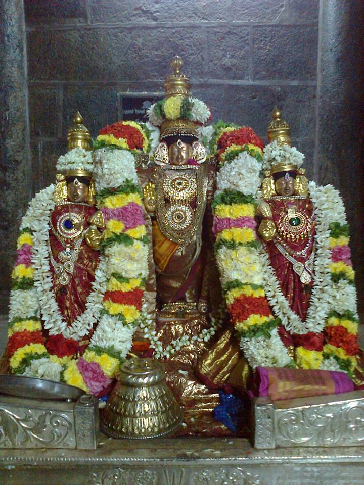 Thiruvahindrapuram_Purattasi Purappadu_3
