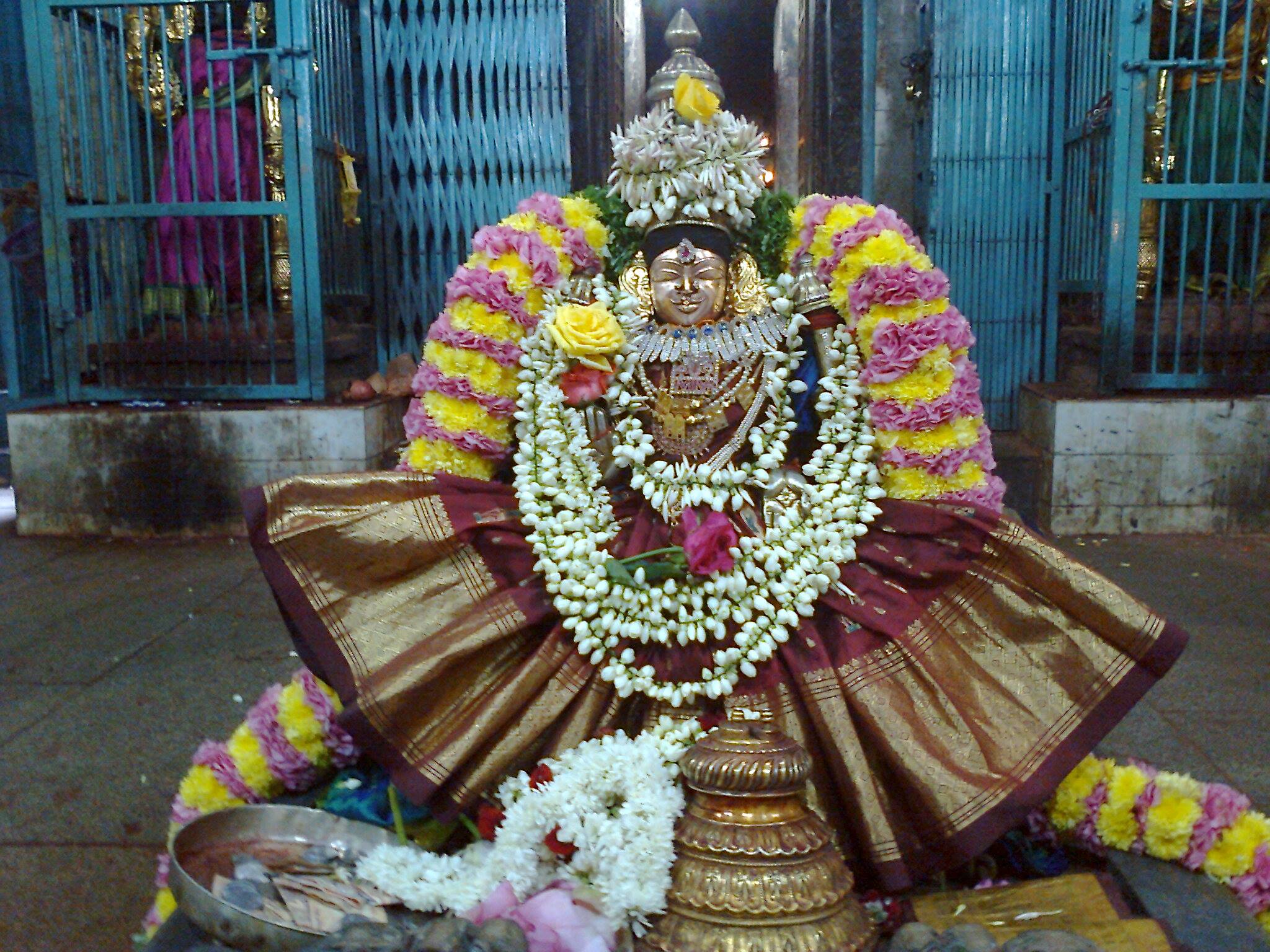 Thiruvahindrapuram_Purattasi Purappadu_4