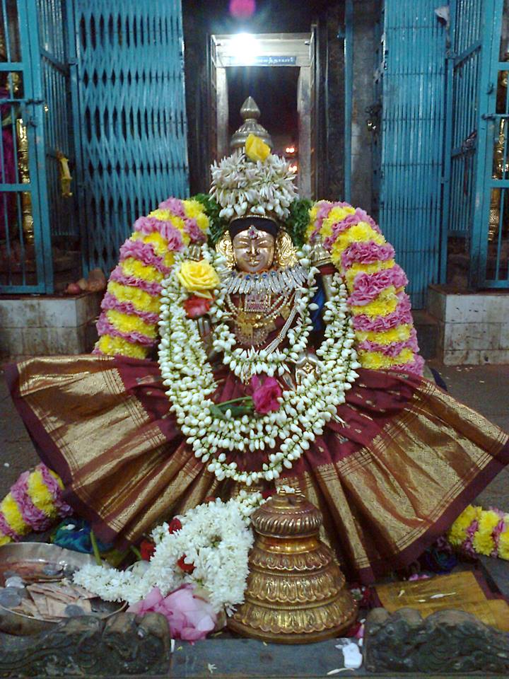 Thiruvahindrapuram_Purattasi Purappadu_5
