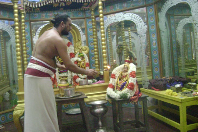 svdd Mylapore Srinivasa Perumal Utsavam day 7 2013-01