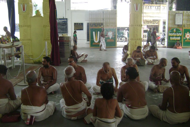 svdd Mylapore Srinivasa Perumal Utsavam day 7 2013-05