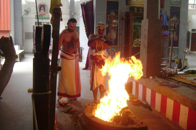 svdd Mylapore Srinivasa Perumal Utsavam day 7 2013-12