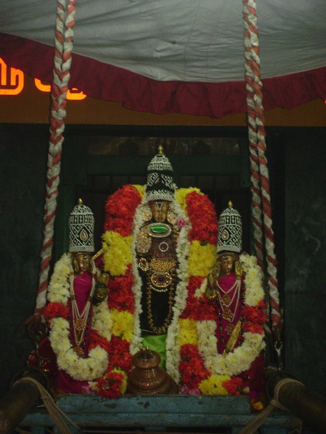 Aminjikarai Sri Prasanna Varadaharaja Perumal Oonjal sevai 2013-01