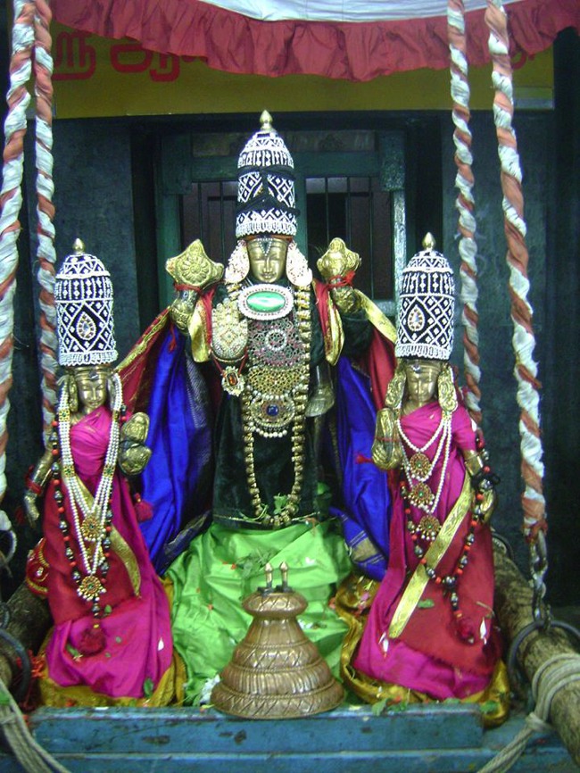 Aminjikarai Sri Prasanna Varadaharaja Perumal Oonjal sevai 2013-03