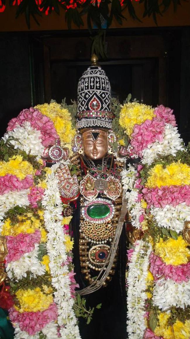 Aminjikarai Sri Prasanna Varadhar perumal kovili Dolotsavam  2013 -04