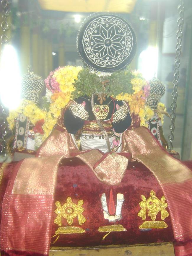 Aminjikarai Sri Prasanna Varadhar perumal kovili Dolotsavam  2013 -10