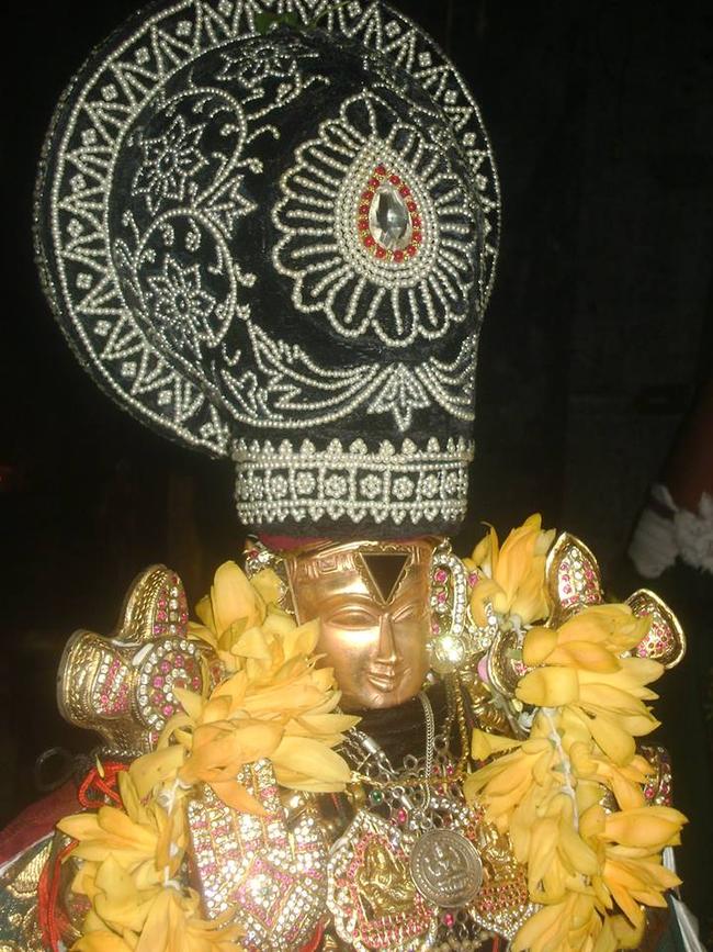 Aminjikarai Sri Prasanna Varadhar perumal kovili Dolotsavam  2013 -11