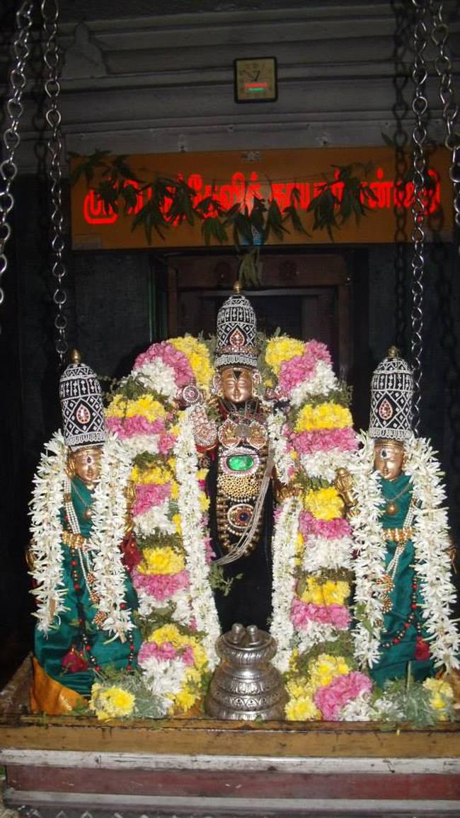 Aminjikarai Sri Prasanna Varadhar perumal kovili Dolotsavam  2013 -12