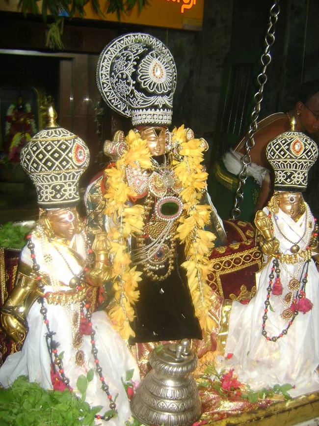 Aminjikarai Sri Prasanna Varadhar perumal kovili Dolotsavam  2013 -13
