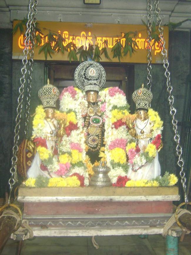 Aminjikarai Sri Prasanna Varadhar perumal kovili Dolotsavam  2013 -14