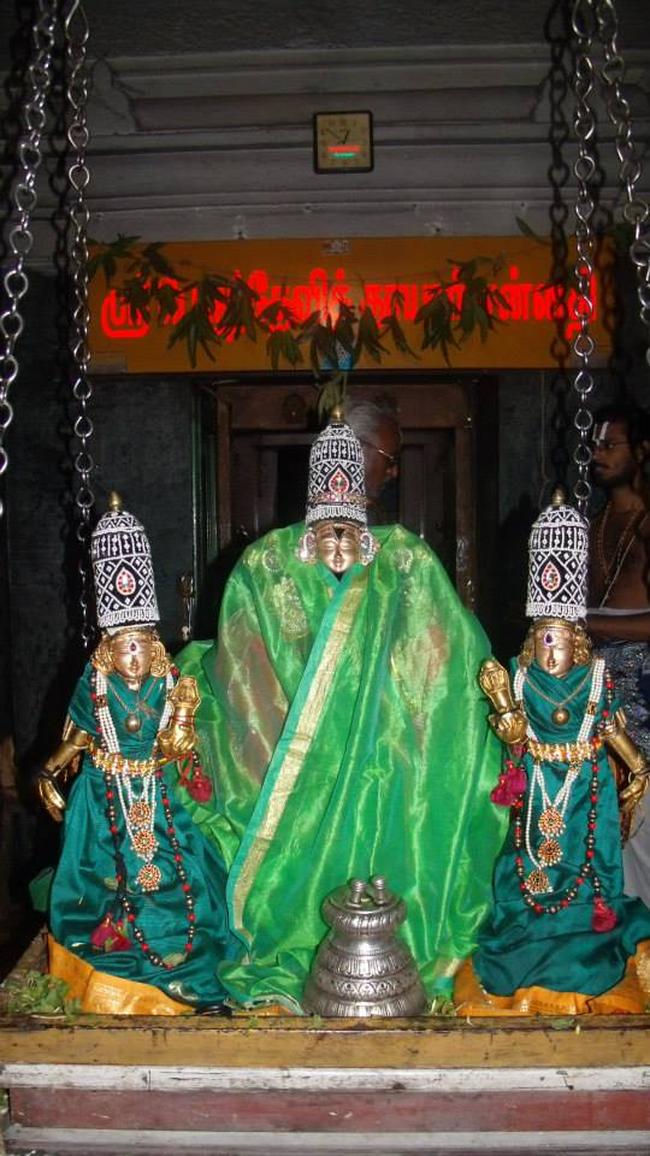 Aminjikarai Sri Prasanna Varadhar perumal kovili Dolotsavam  2013 -16