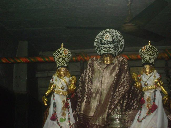 Aminjikarai Sri Prasanna Varadhar perumal kovili Dolotsavam  2013 -19