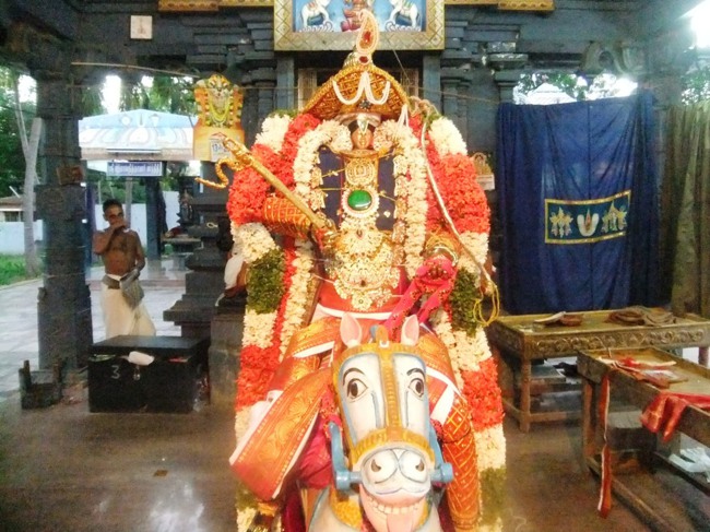 Bhel Swami desikan thirunakshatra utsavam kudhirai vahanam201302