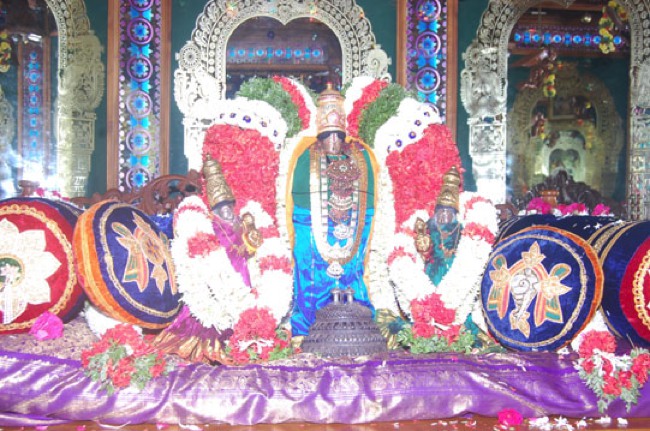 Gunaseelam Brahmotsavam Simha vahanam  2013-18