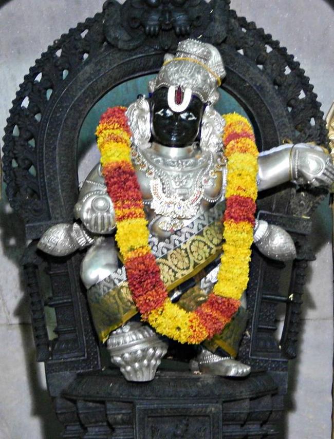Kalyanaotsavam at Thulasi thotta Krishna temple Bangalore 2013 -19