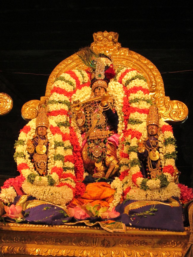 Kanchi Navarathiri Utsavam  day 5  2013-11