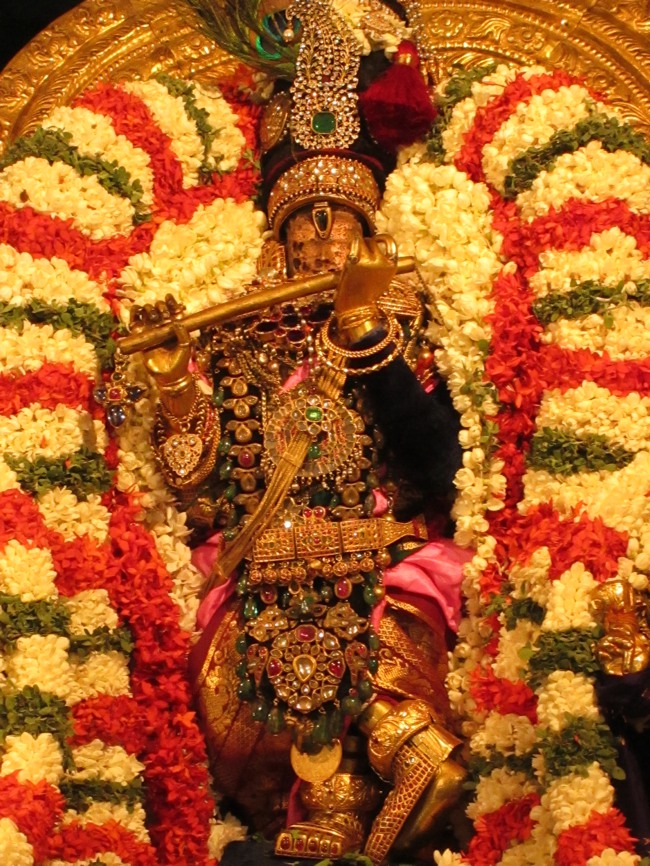 Kanchi Navarathiri Utsavam  day 5  2013-12