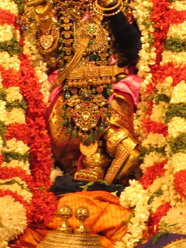 Kanchi Navarathiri Utsavam  day 5  2013-14