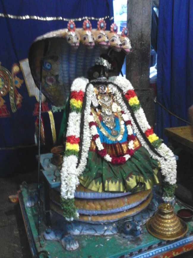 Mayuravalli Thayar Utsavam  Day 2013 -01
