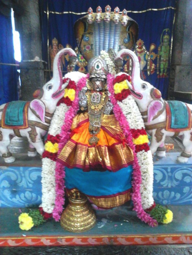 Mayuravalli Thayar Utsavam  Day 4 2013-01