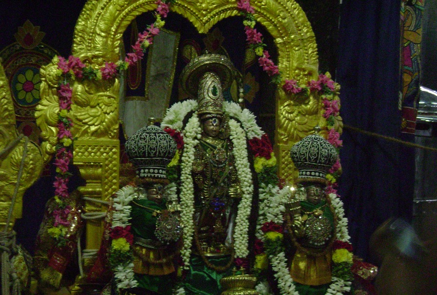 Mylapore Adhikesava Perumal Pavithrotsavam3