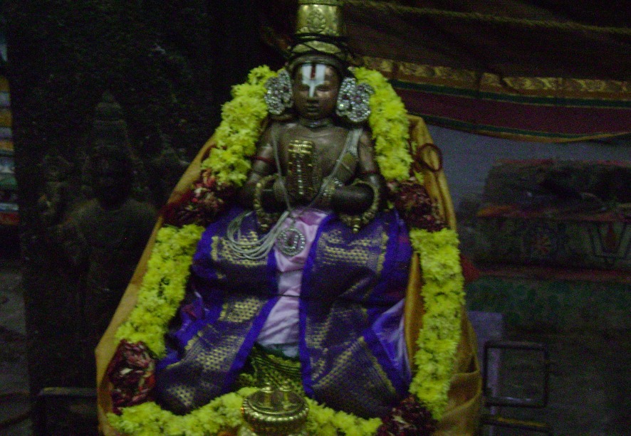 Mylapore Adhikesava Perumal Pavithrotsavam4